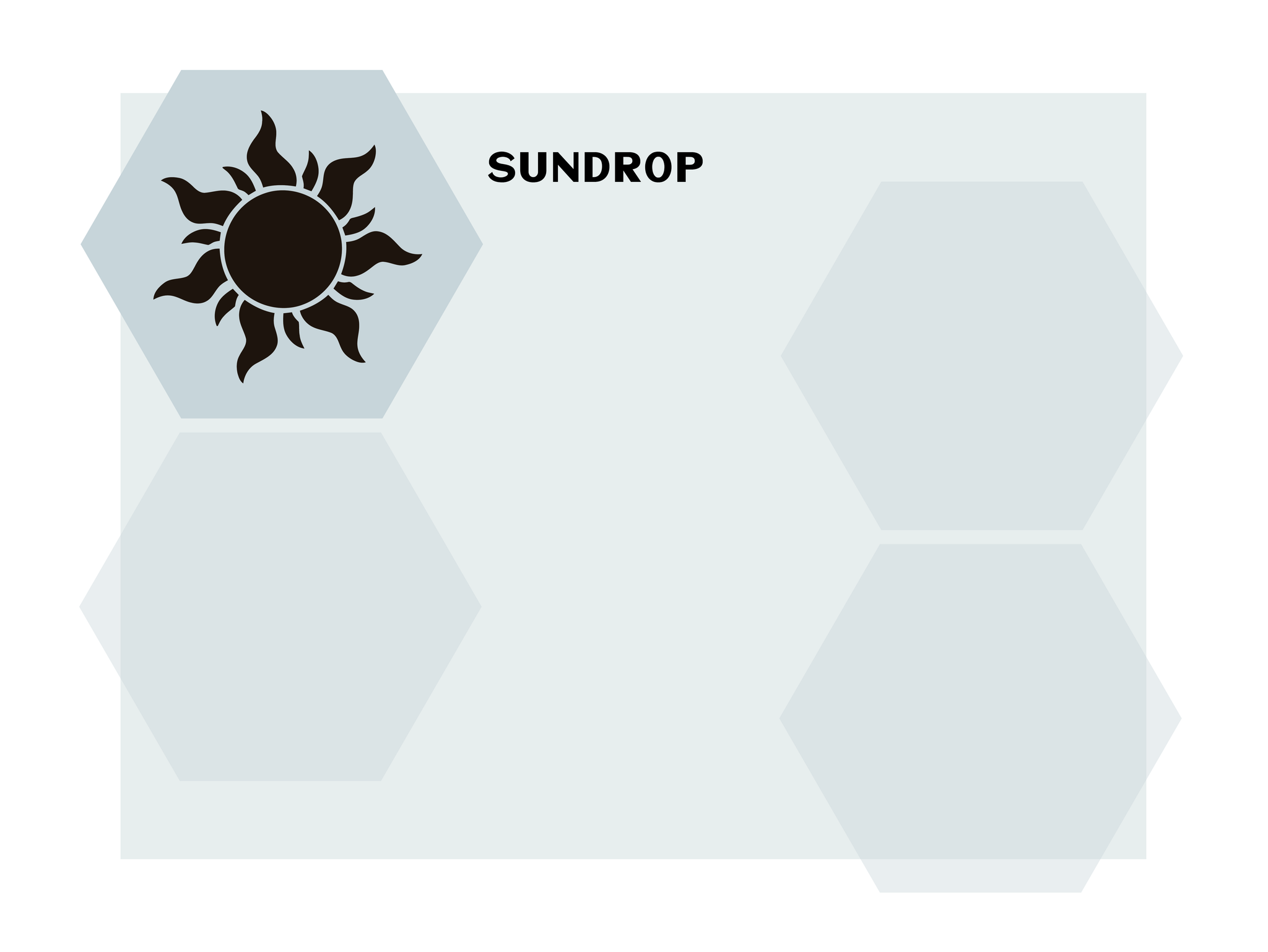 Sun Drop | Cork Hexagon
